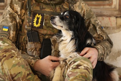 Photo of Ukrainian soldier with stray dog indoors, closeup