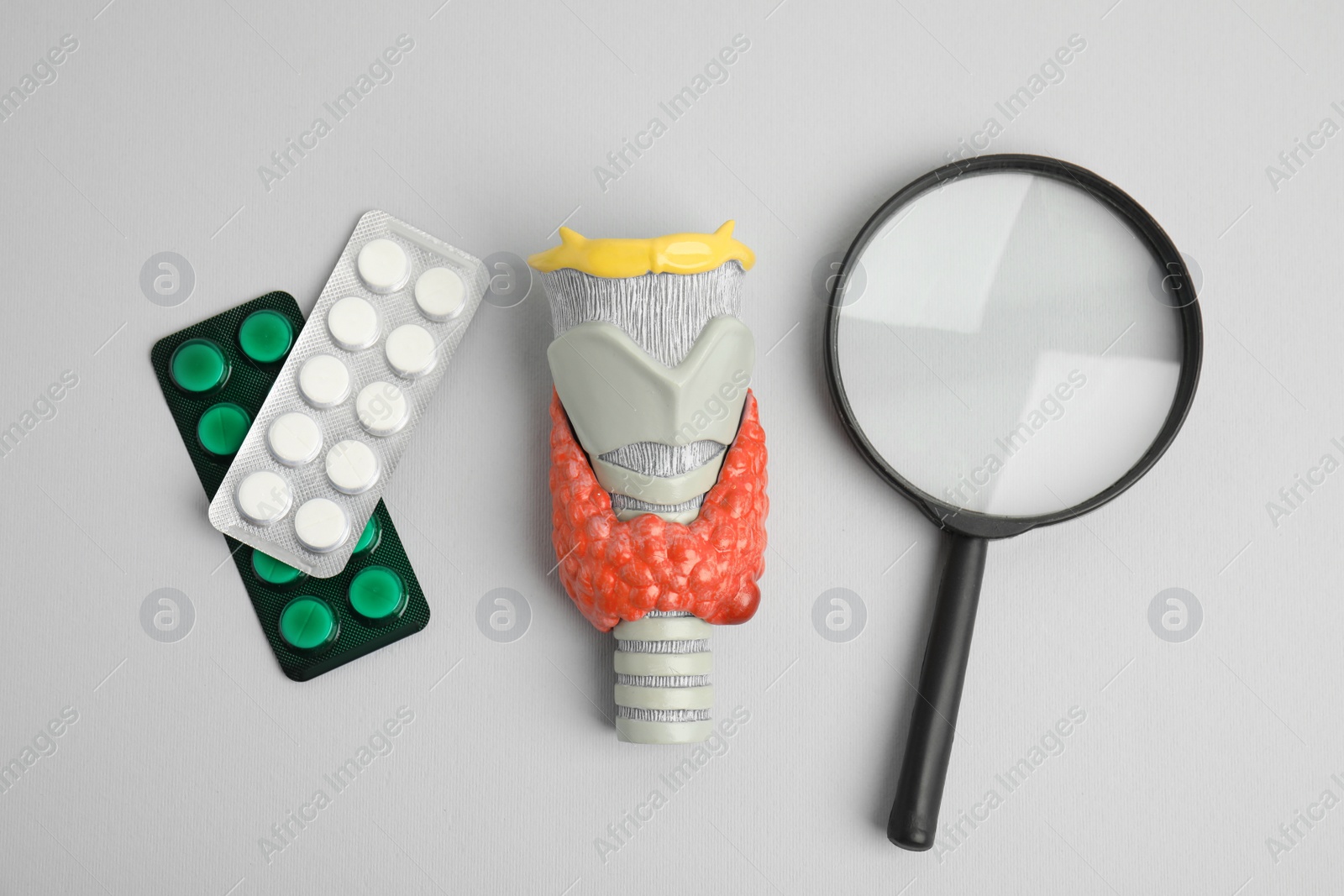 Photo of Plastic model of thyroid with tumor, pills and magnifying glass on grey background, flat lay