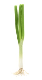 Fresh green onion on white background