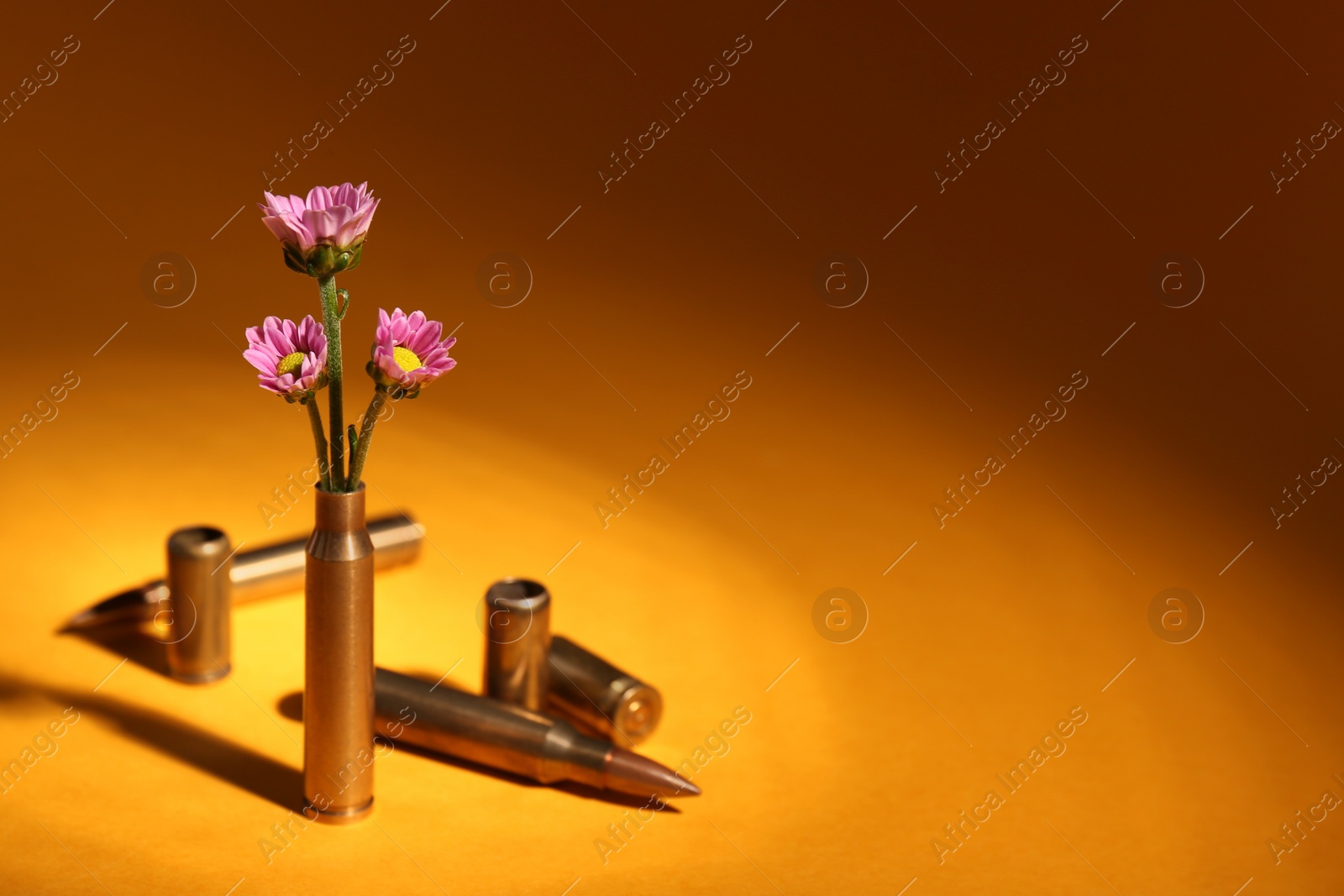 Photo of Bullet cartridge cases and beautiful chrysanthemum flowers on orange background, space for text