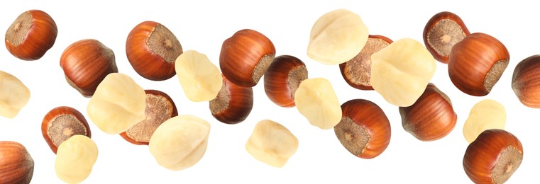 Tasty hazelnuts falling on white background, banner design. Healthy snack