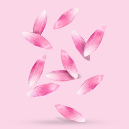 Image of Lotus flower petals falling on pink background