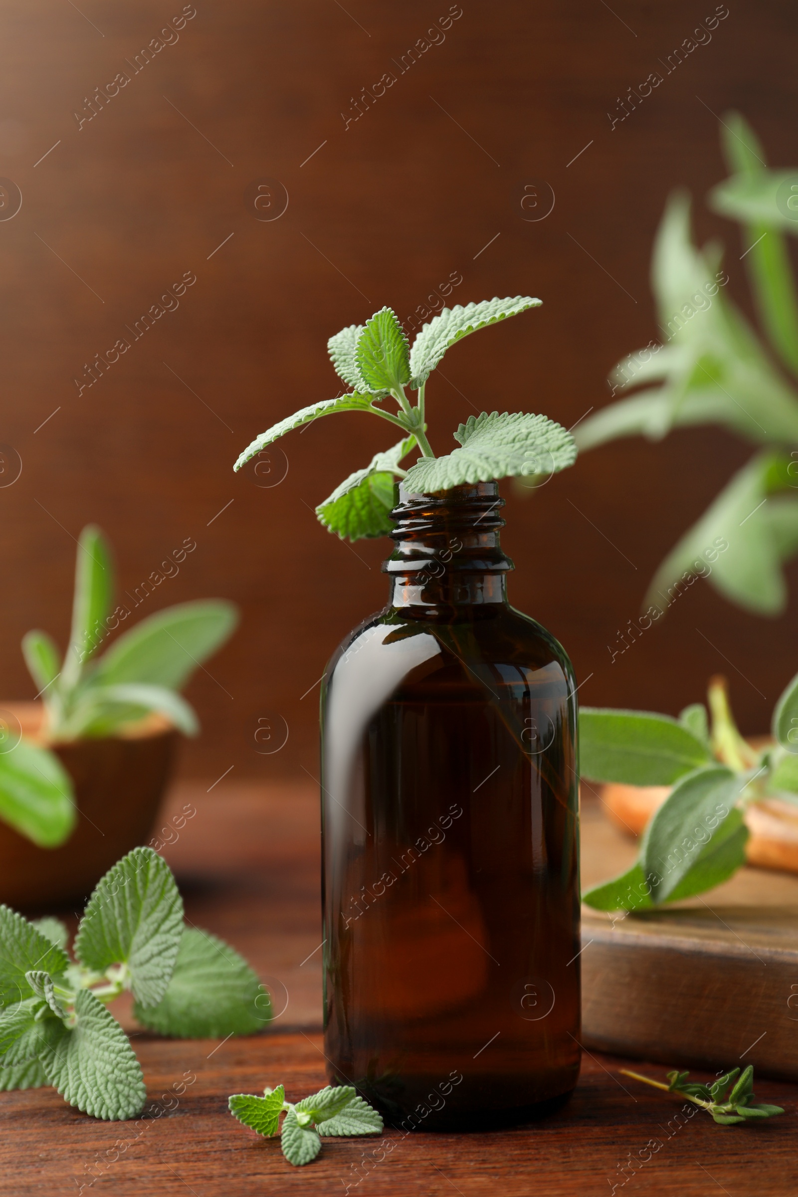 Photo of Bottle of essential oil and fresh herbs on wooden table