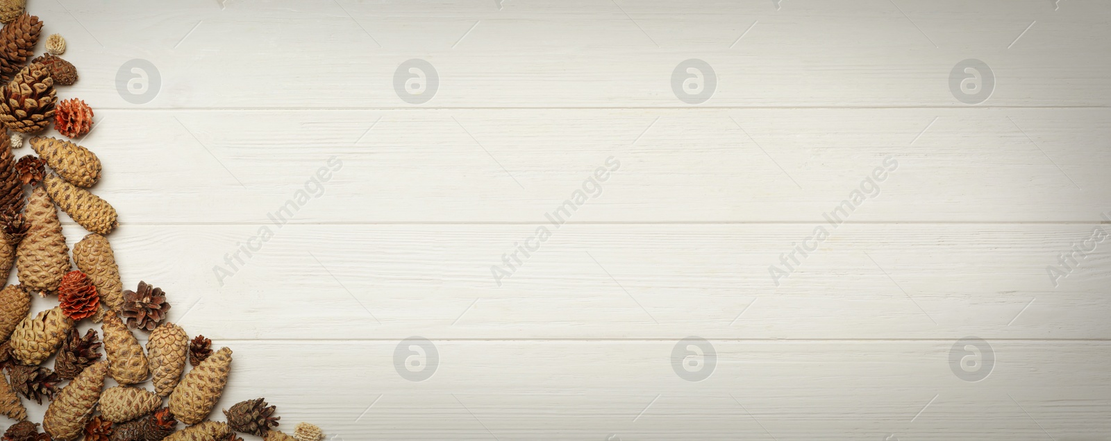 Image of Flat lay composition with pinecones on white wooden background, space for text. Horizontal banner design