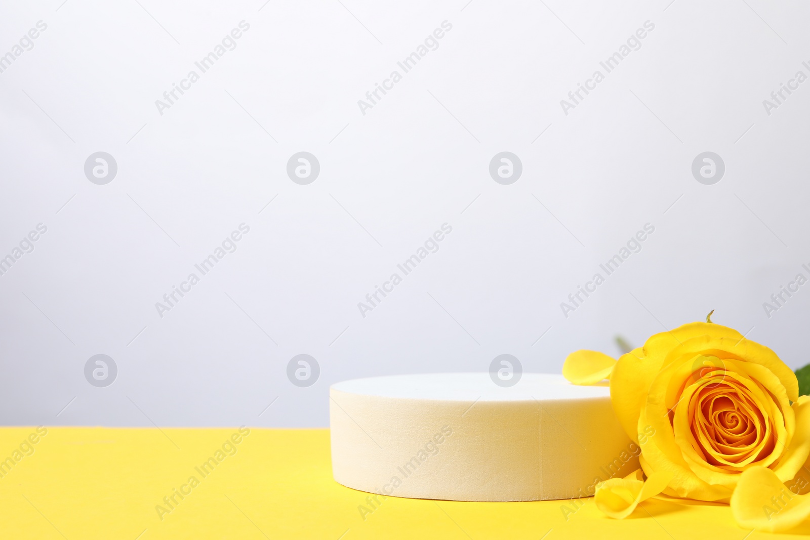 Photo of Beautiful presentation for product. Round podium and rose on yellow table against white background, space for text