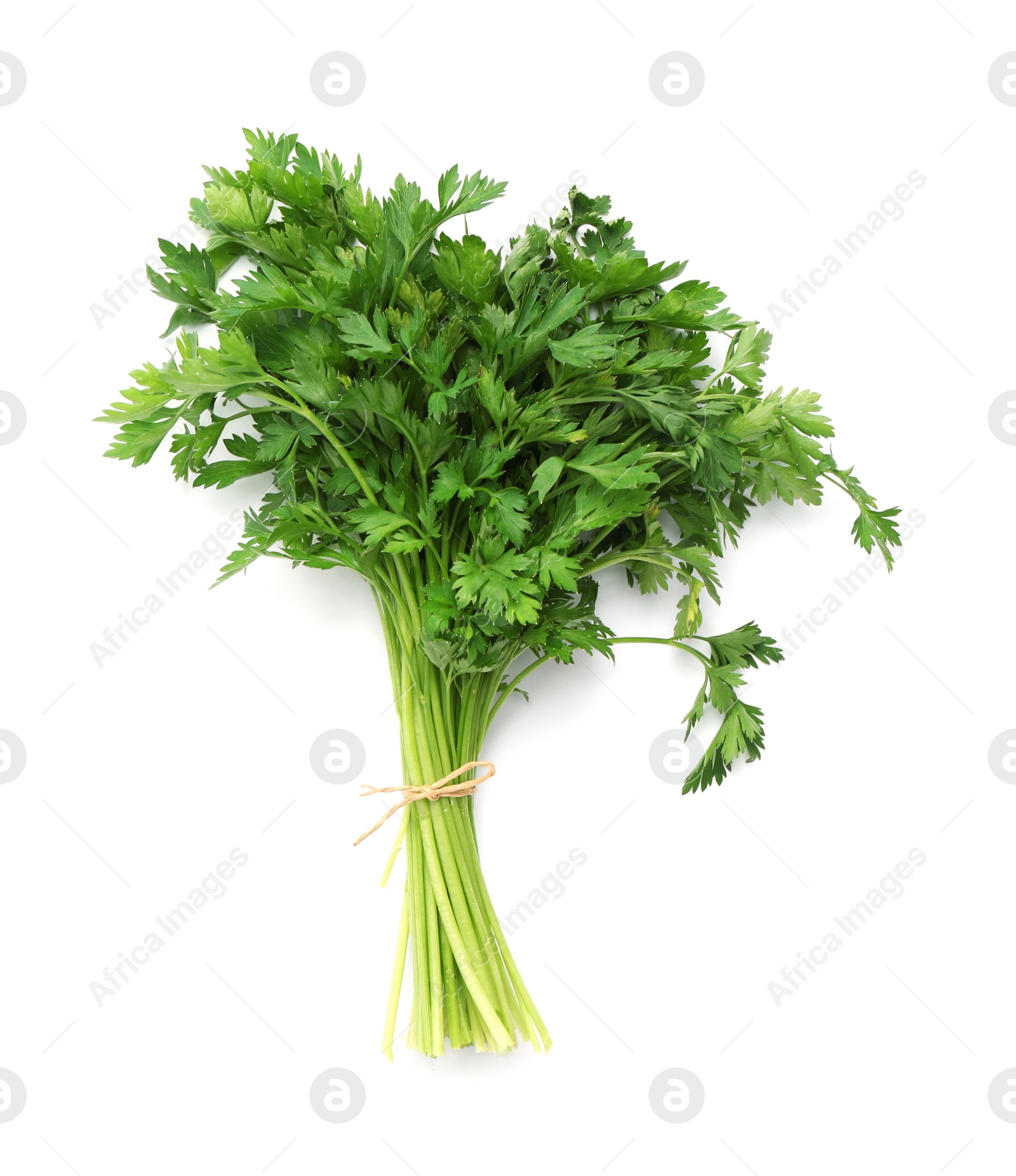 Photo of Bunch of fresh parsley isolated on white, top view