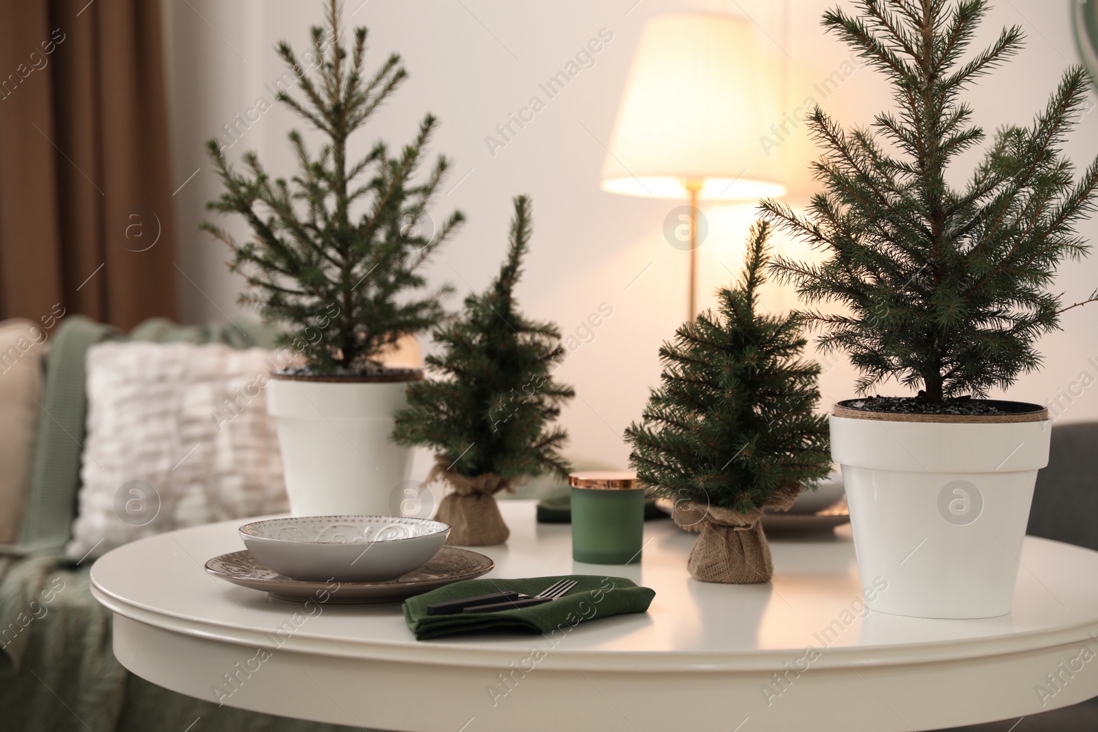 Photo of Small fir trees on dining table indoors. Christmas interior design