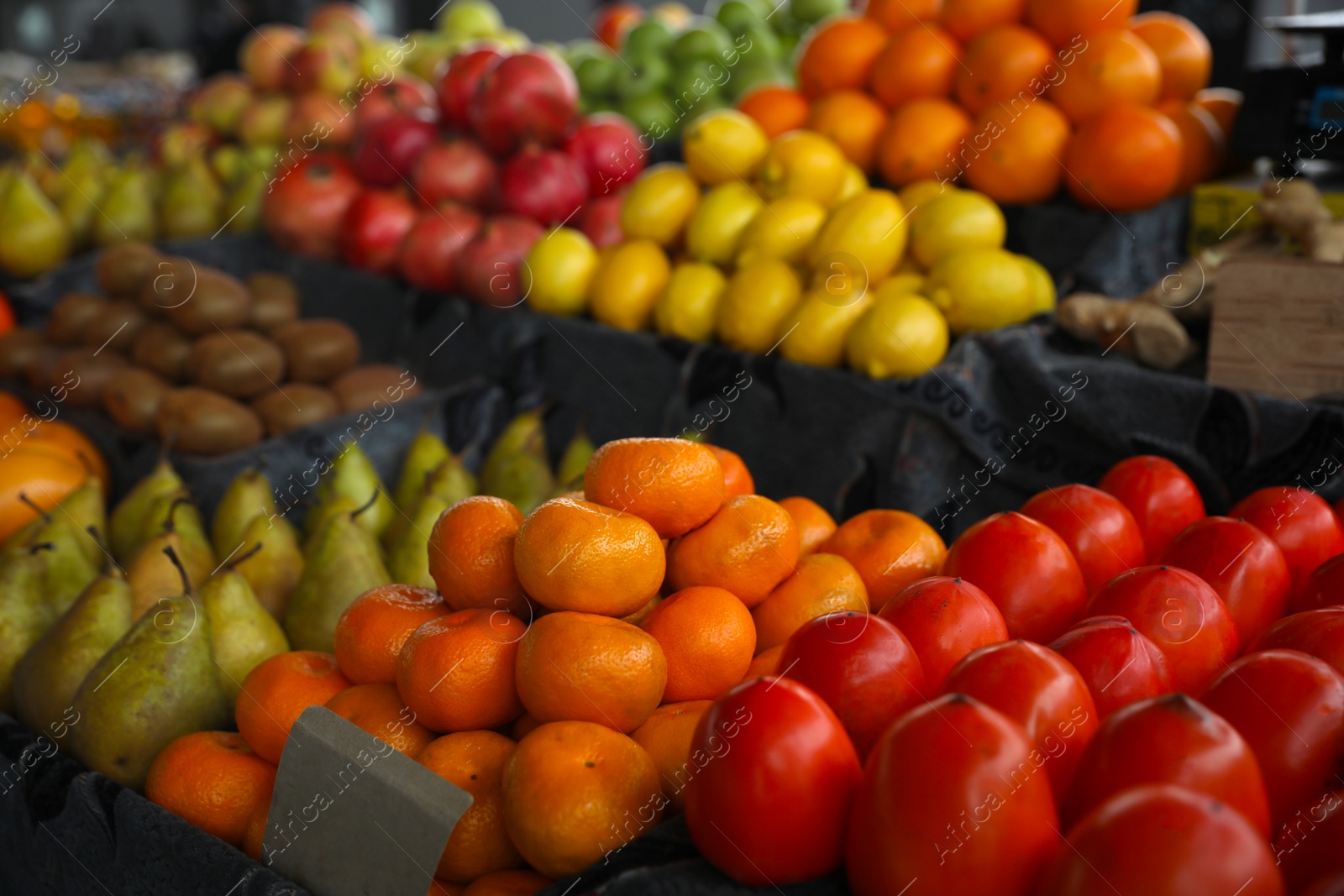 Photo of Tasty fresh fruits on counter at wholesale market