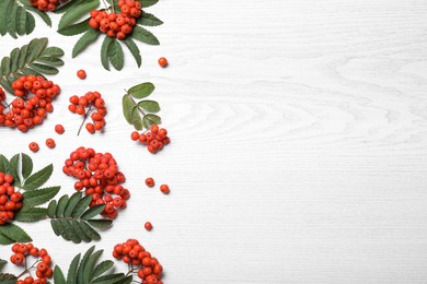 Photo of Fresh ripe rowan berries and green leaves on white wooden table, flat lay. Space for text