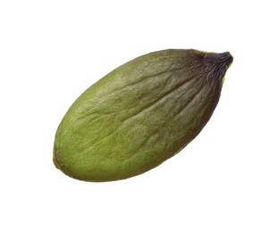 One peeled pumpkin seed isolated on white, top view