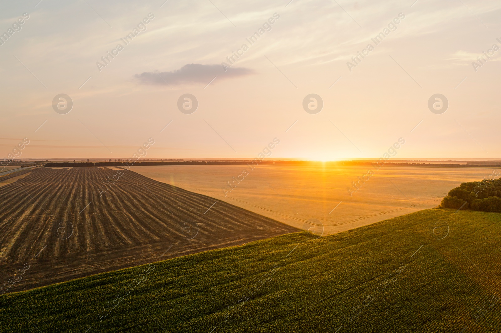 Image of Aerial view of agricultural field at sunrise