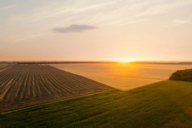 Image of Aerial view of agricultural field at sunrise