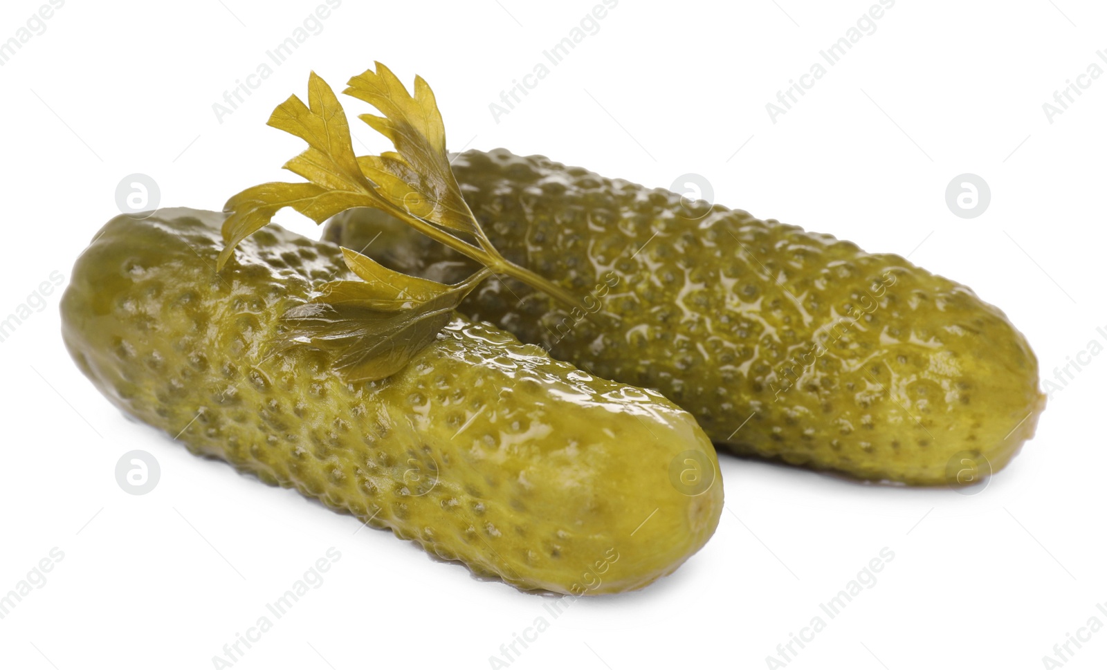 Photo of Crunchy pickled cucumbers and parsley on white background