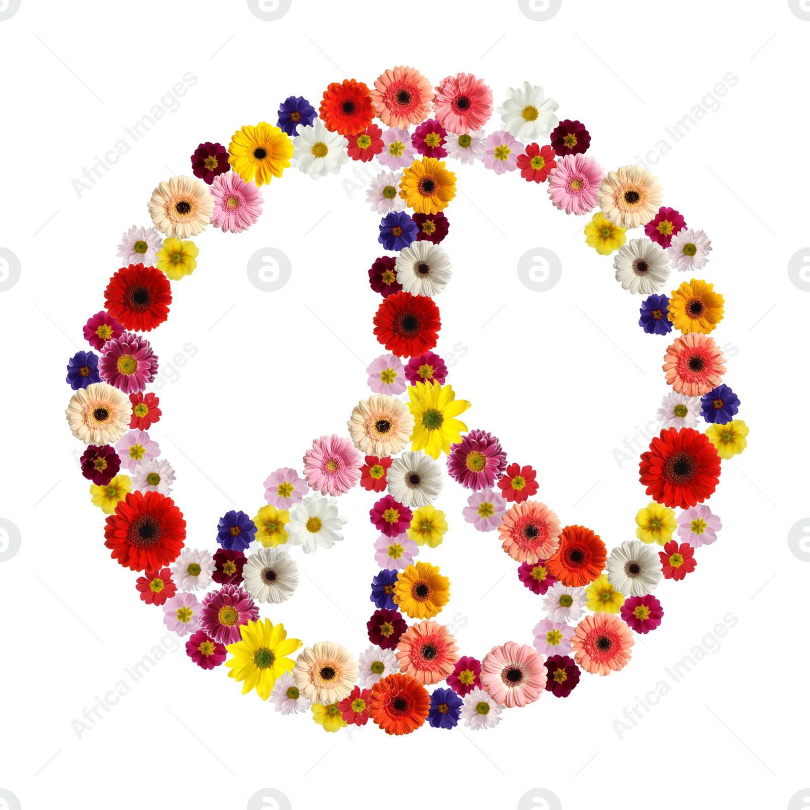 Image of Hippie peace symbol of beautiful flowers on white background