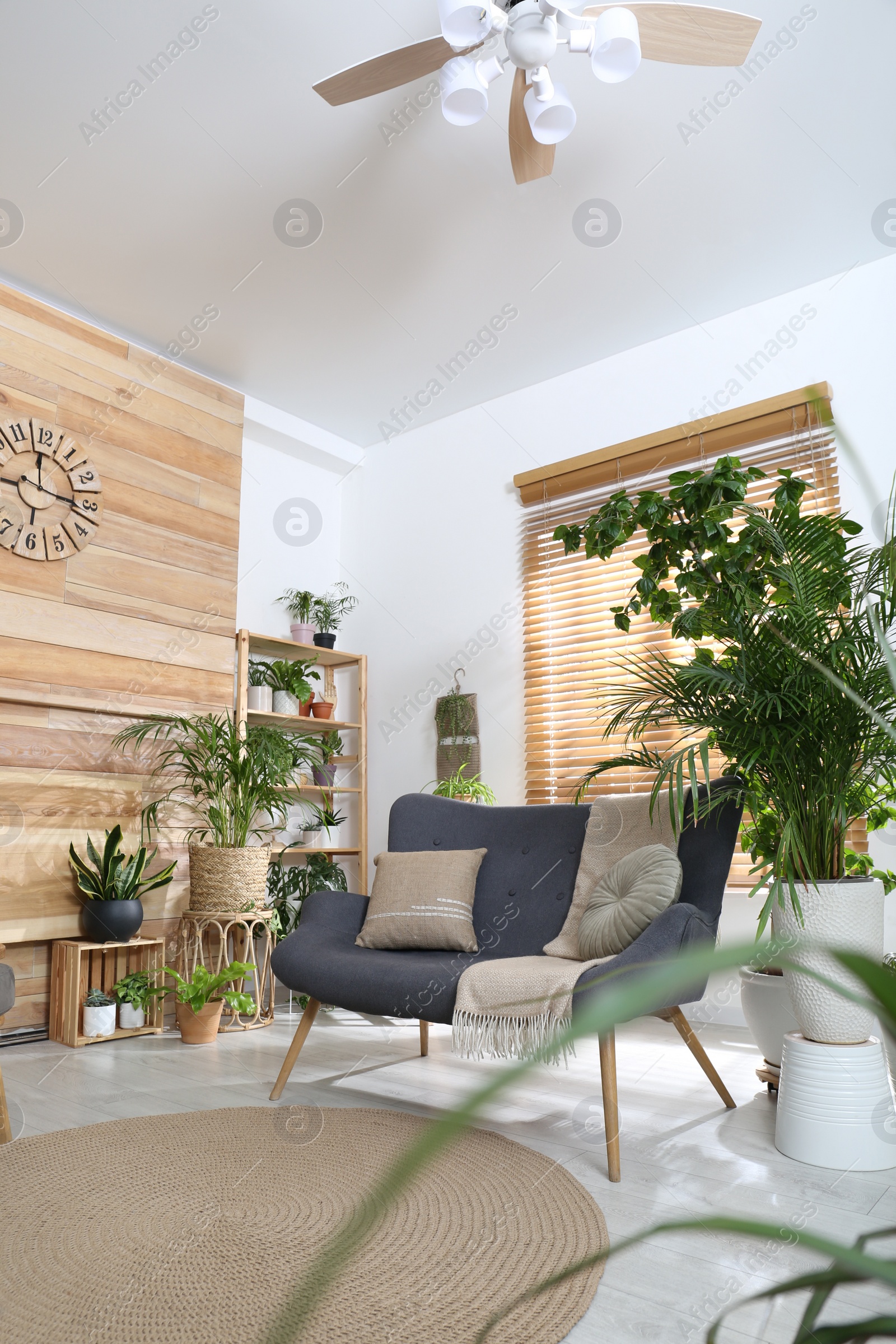 Photo of Comfortable sofa and beautiful houseplants in room. Lounge area interior