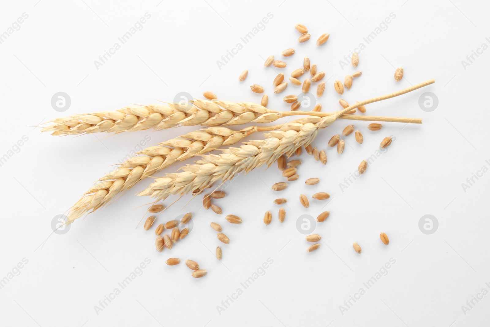 Photo of Wheat grains with spikelets on white background