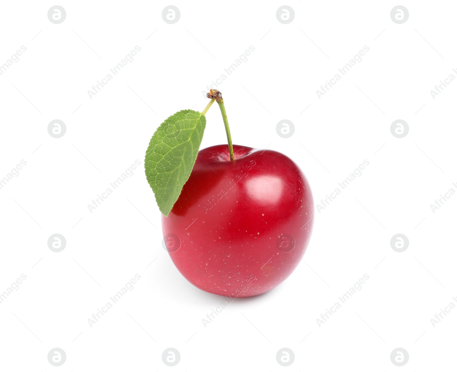 Photo of Delicious ripe cherry plum with leaf isolated on white