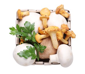 Photo of Basket of different mushrooms isolated on white, top view