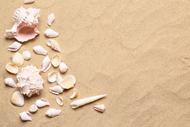 Photo of Beautiful seashells on beach sand, flat lay with space for text. Summer vacation