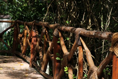 Wooden railing and beautiful exotic plants growing in tropical jungle on sunny day