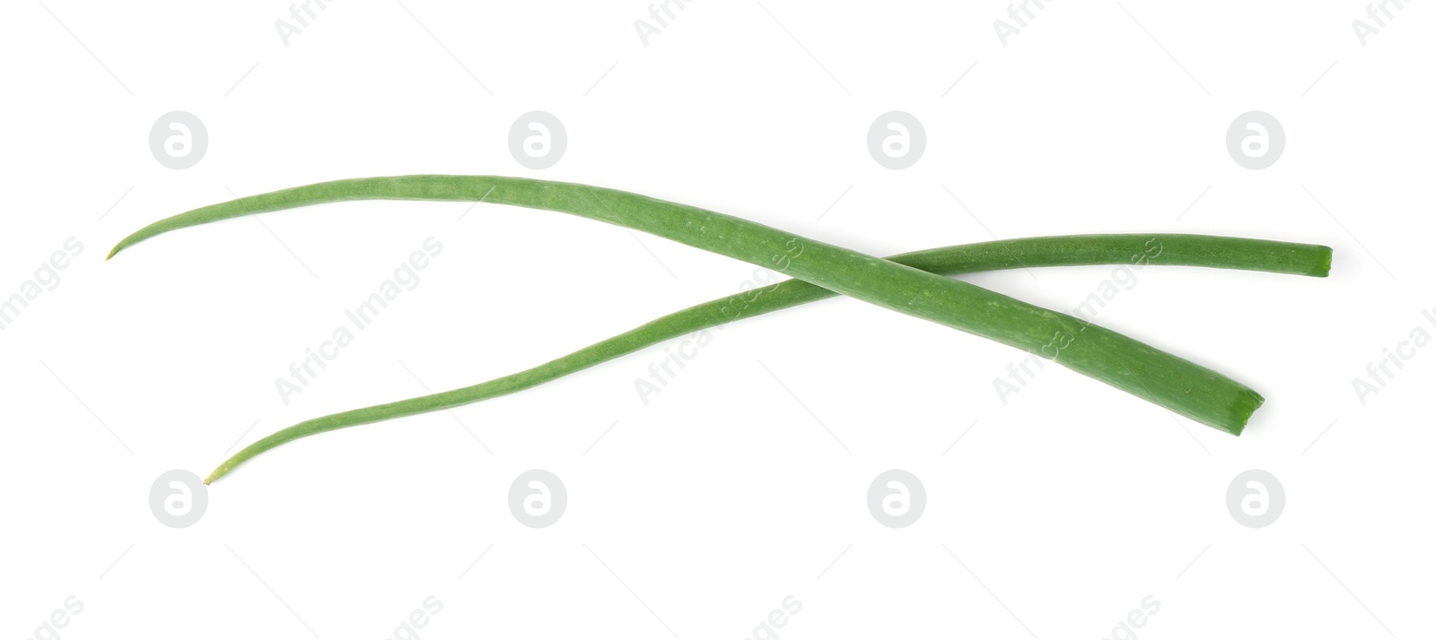 Photo of Fresh green spring onions isolated on white, top view