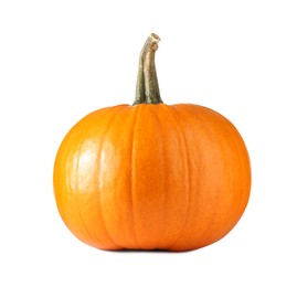 Photo of One fresh orange pumpkin isolated on white