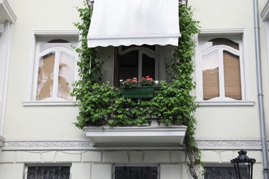 Photo of Beautiful balcony with climbing plant and flowers on white building outdoors