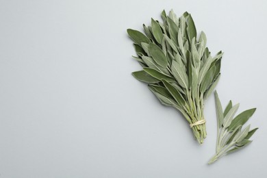 Photo of Bunch of fresh sage on light background, flat lay. Space for text