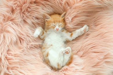Photo of Cute little kitten sleeping on pink furry blanket, top view
