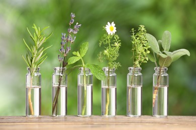 Photo of Many bottles with essential oils and plants on wooden table against blurred green background
