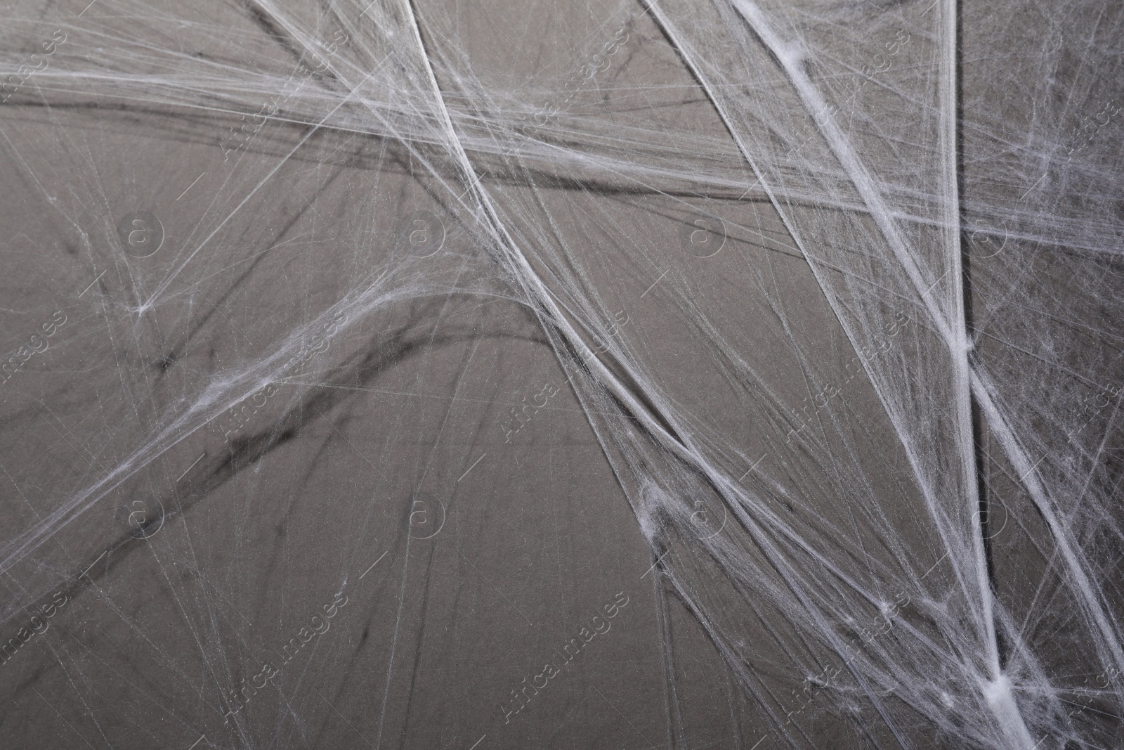 Photo of Creepy white cobweb hanging on gray background