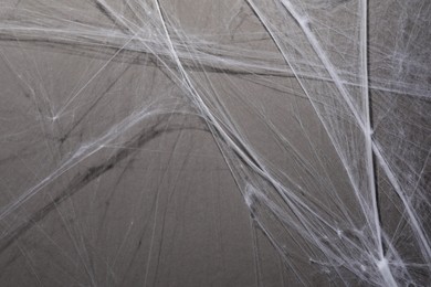 Photo of Creepy white cobweb hanging on gray background