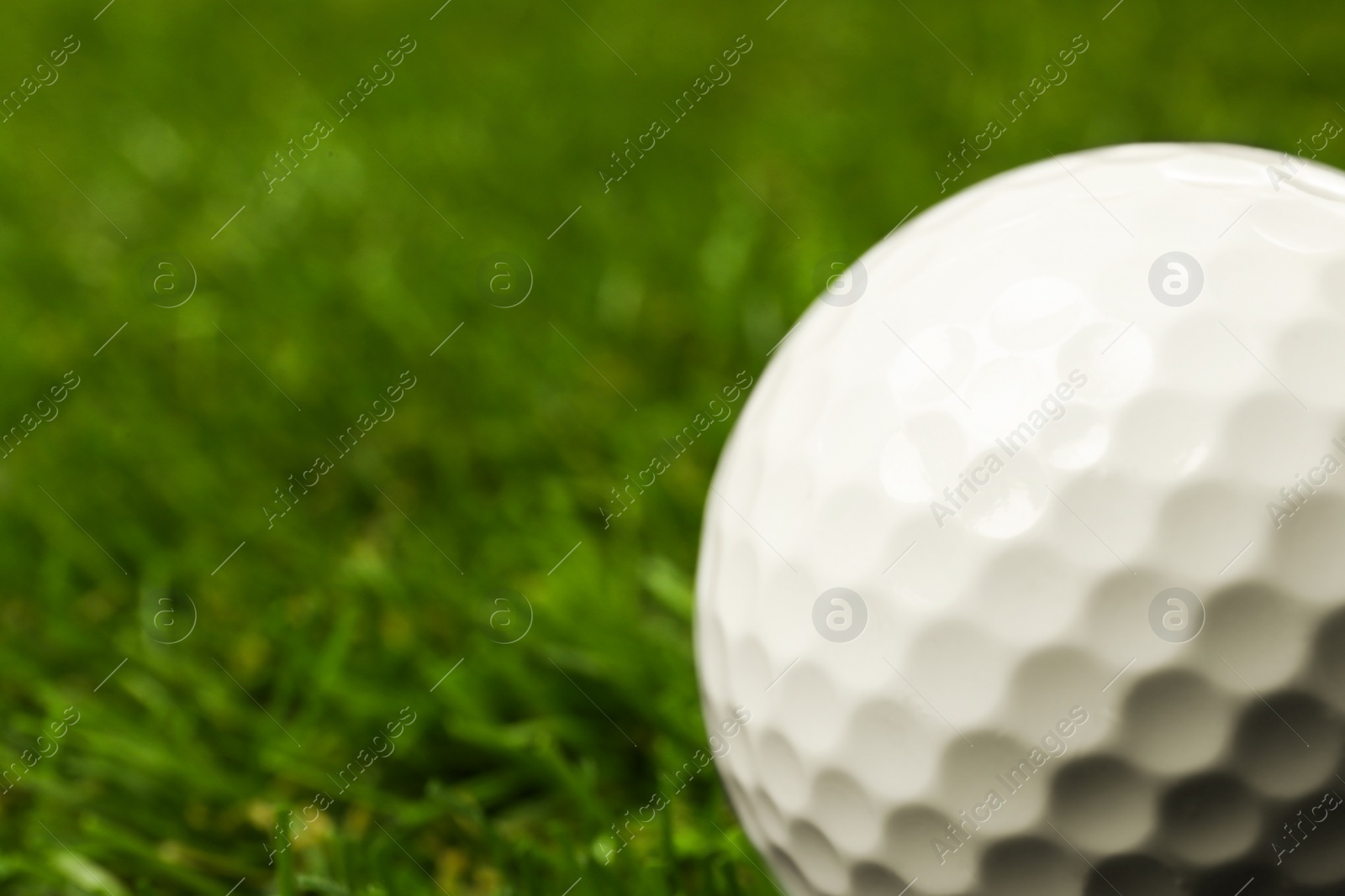 Photo of Golf ball on green course outdoors, closeup. Space for text