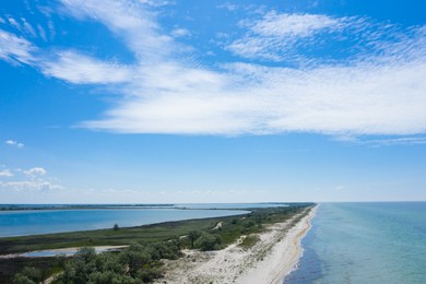 Beautiful aerial view of sea coast with animals