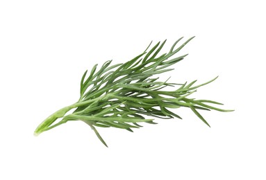 Photo of Sprig of fresh dill isolated on white