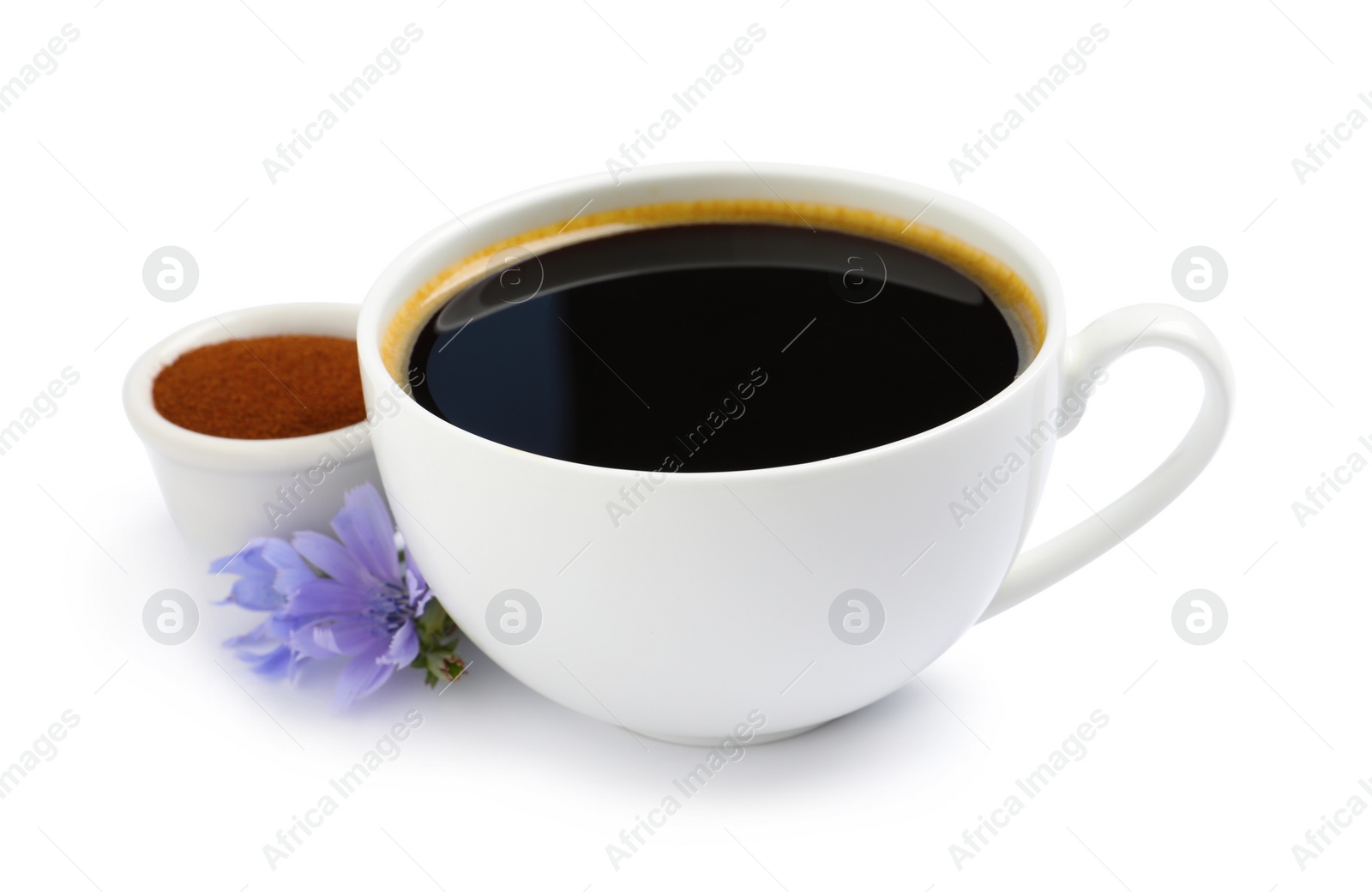 Photo of Cup of delicious chicory drink, powder and flower on white background