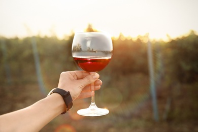 Photo of Woman holding glass of red wine at vineyard