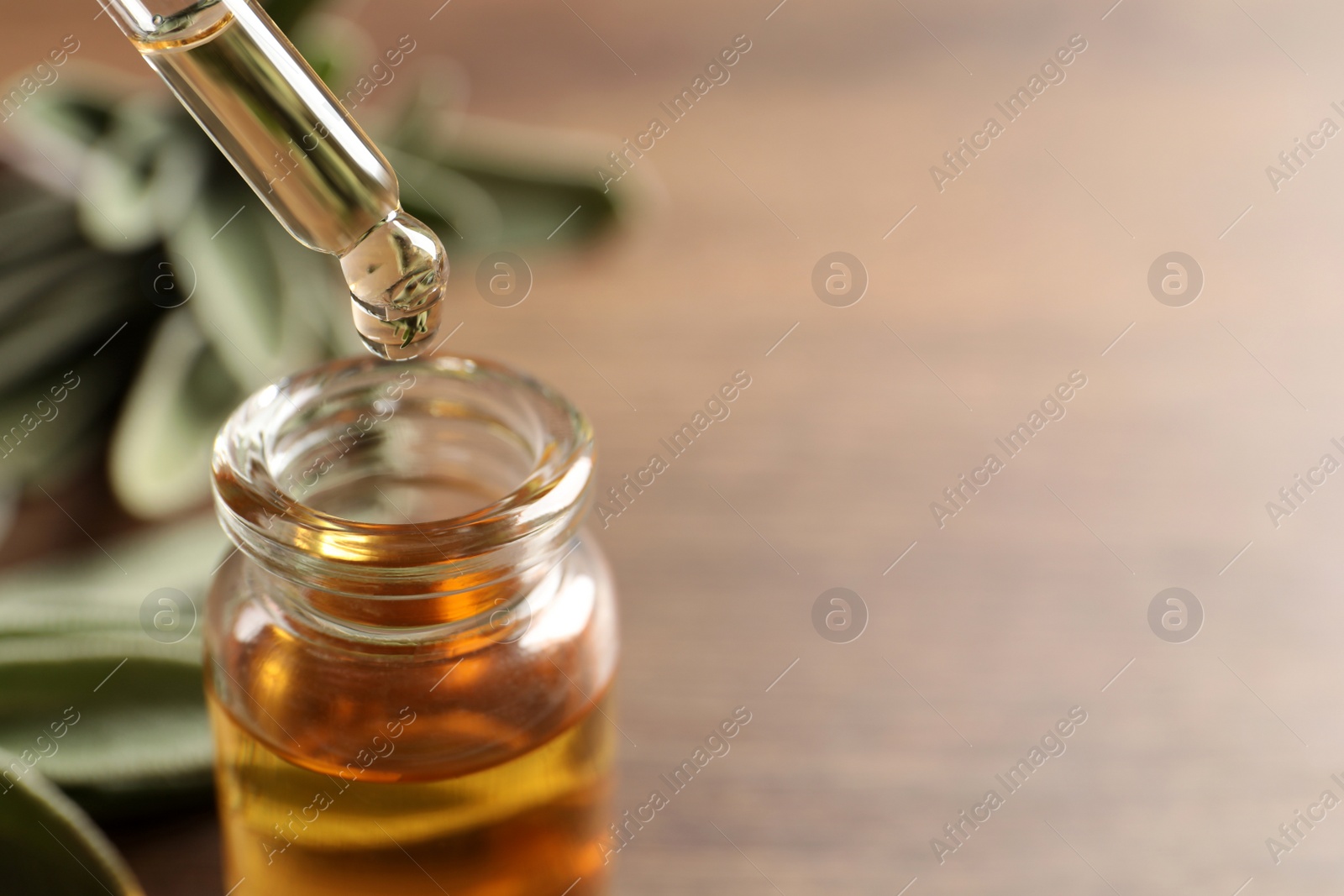 Photo of Dropping essential sage oil into bottle on blurred background, closeup. Space for text