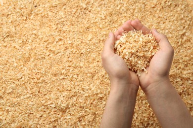 Photo of Woman holding dry natural sawdust, top view