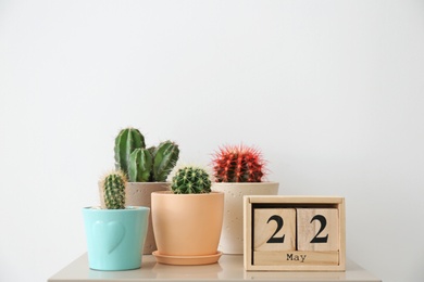 Photo of Beautiful cacti on table against light background