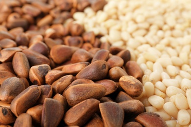 Photo of Pile of pine nuts as background, closeup