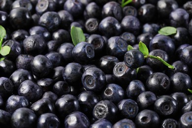 Photo of Many delicious ripe bilberries and green leaves as background, closeup