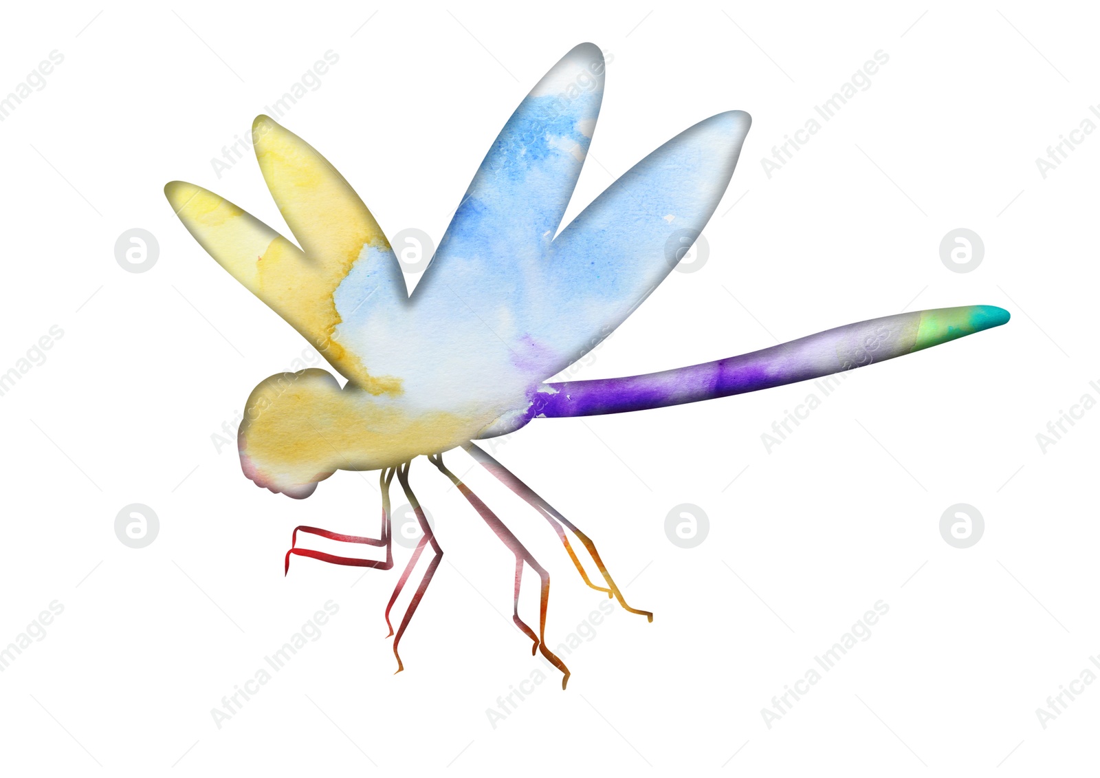 Illustration of Silhouette of dragonfly drawn with watercolor paint on white background