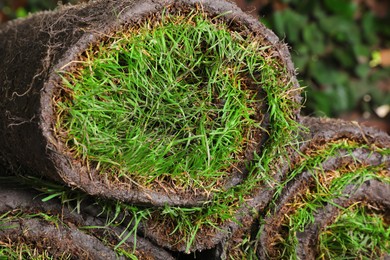 Photo of Closeup view of rolled sod with grass