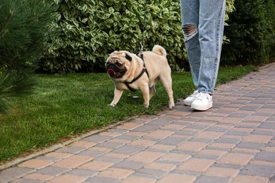 Photo of Woman walking with her cute pug on lawn outdoors, closeup