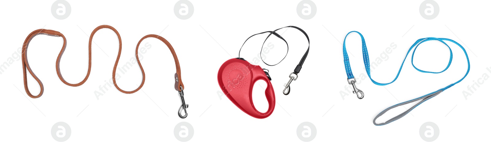 Image of Collage with different pet leashes on white background, top view