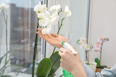 Woman spraying blooming orchid flowers with water near window, closeup