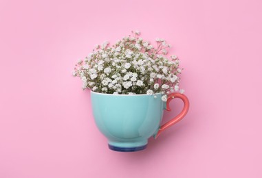 Photo of Beautiful gypsophila in cup on pink background, top view