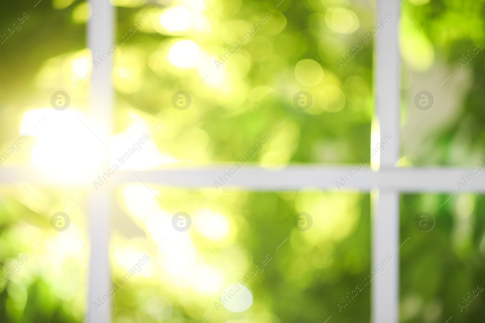 Photo of Blurred view through window on garden in morning