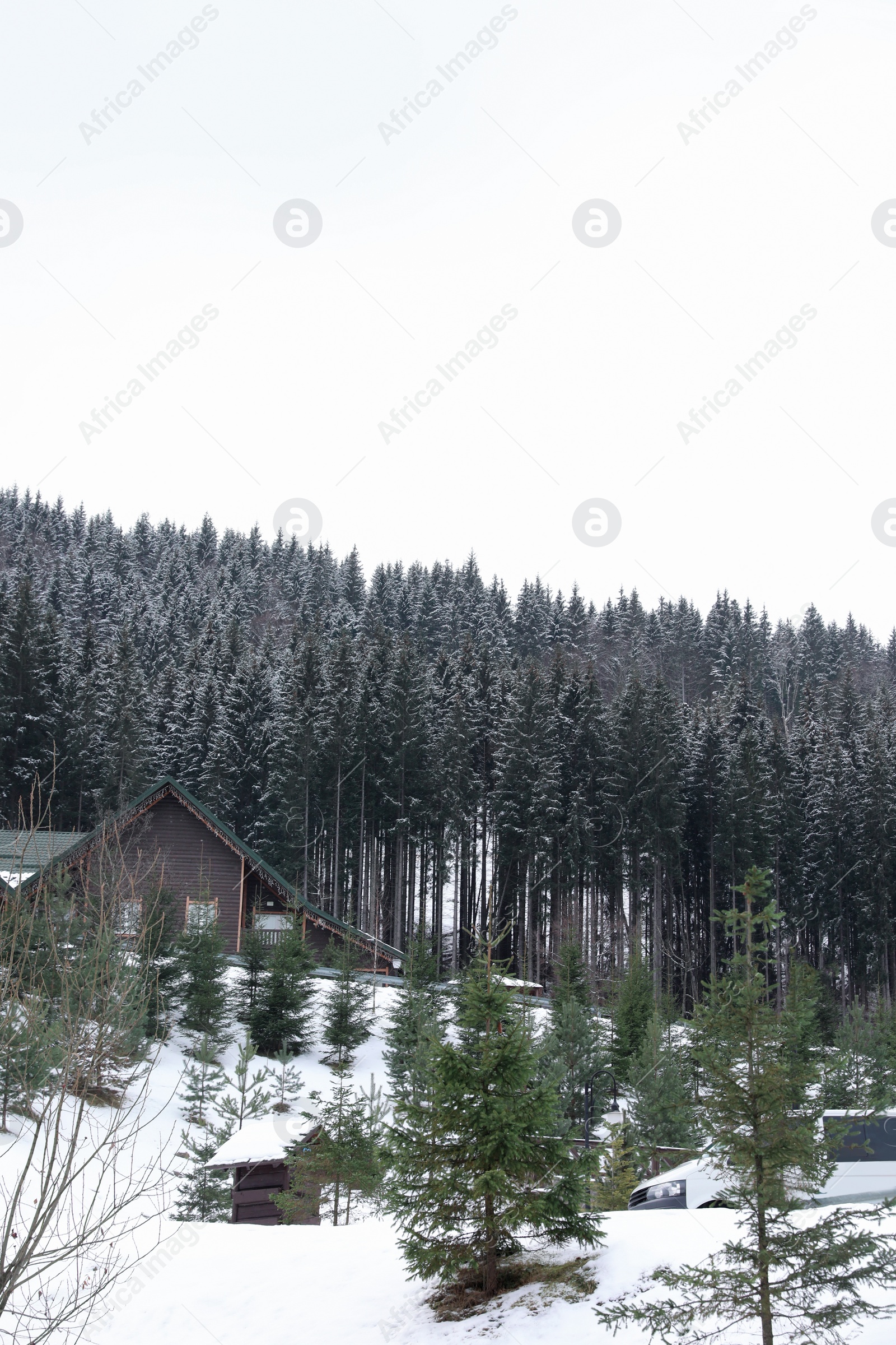 Photo of Beautiful landscape with conifer forest, house and snow